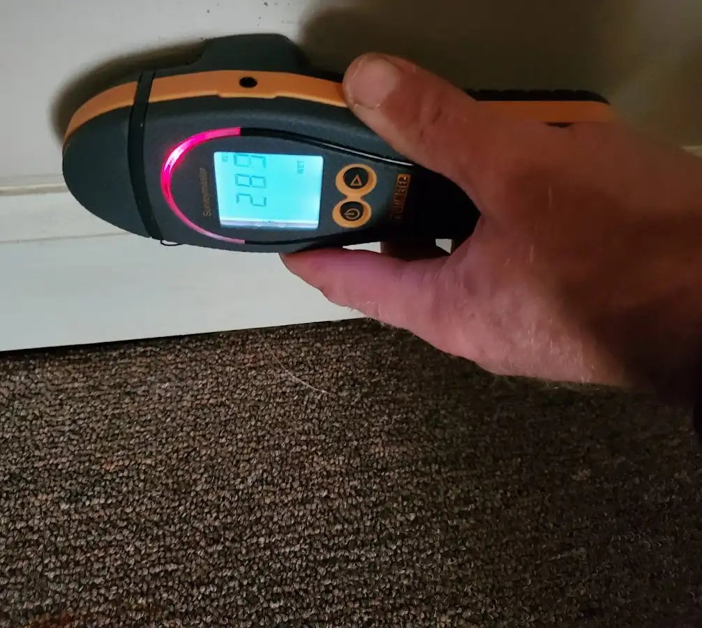 Moisture detection at baseboard during Sewage Cleanup & Sanitation in Hueytown